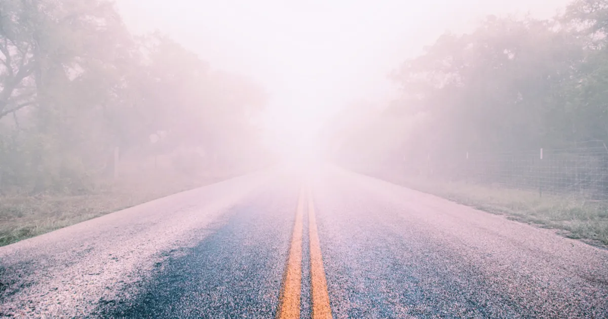 Fog Mist